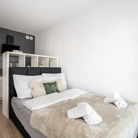 Apartment Apartament W Sercu Poznania - Zwierzyniecka Poznan